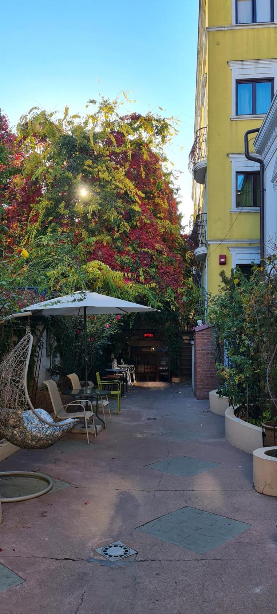 布加勒斯特 Casa Michelangelo酒店 外观 照片
