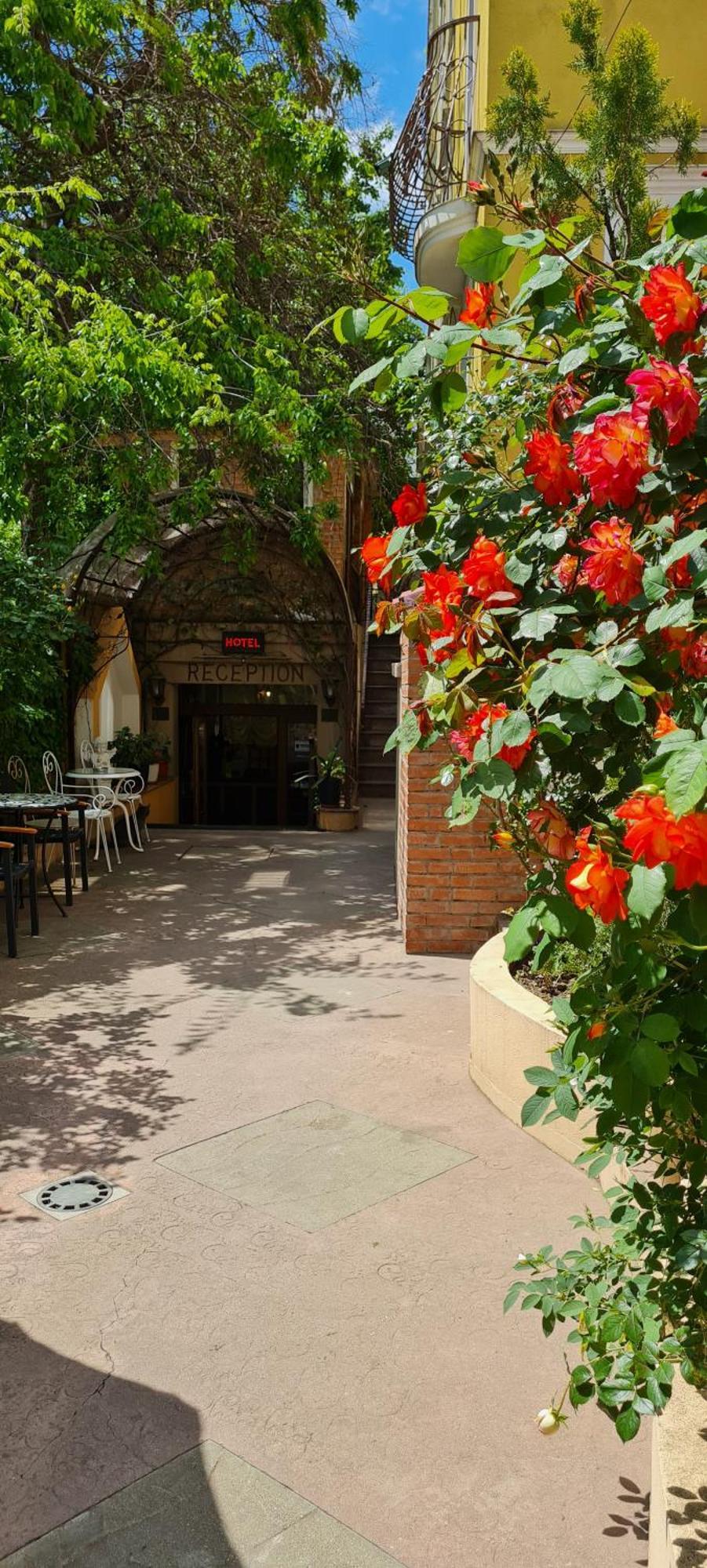 布加勒斯特 Casa Michelangelo酒店 外观 照片