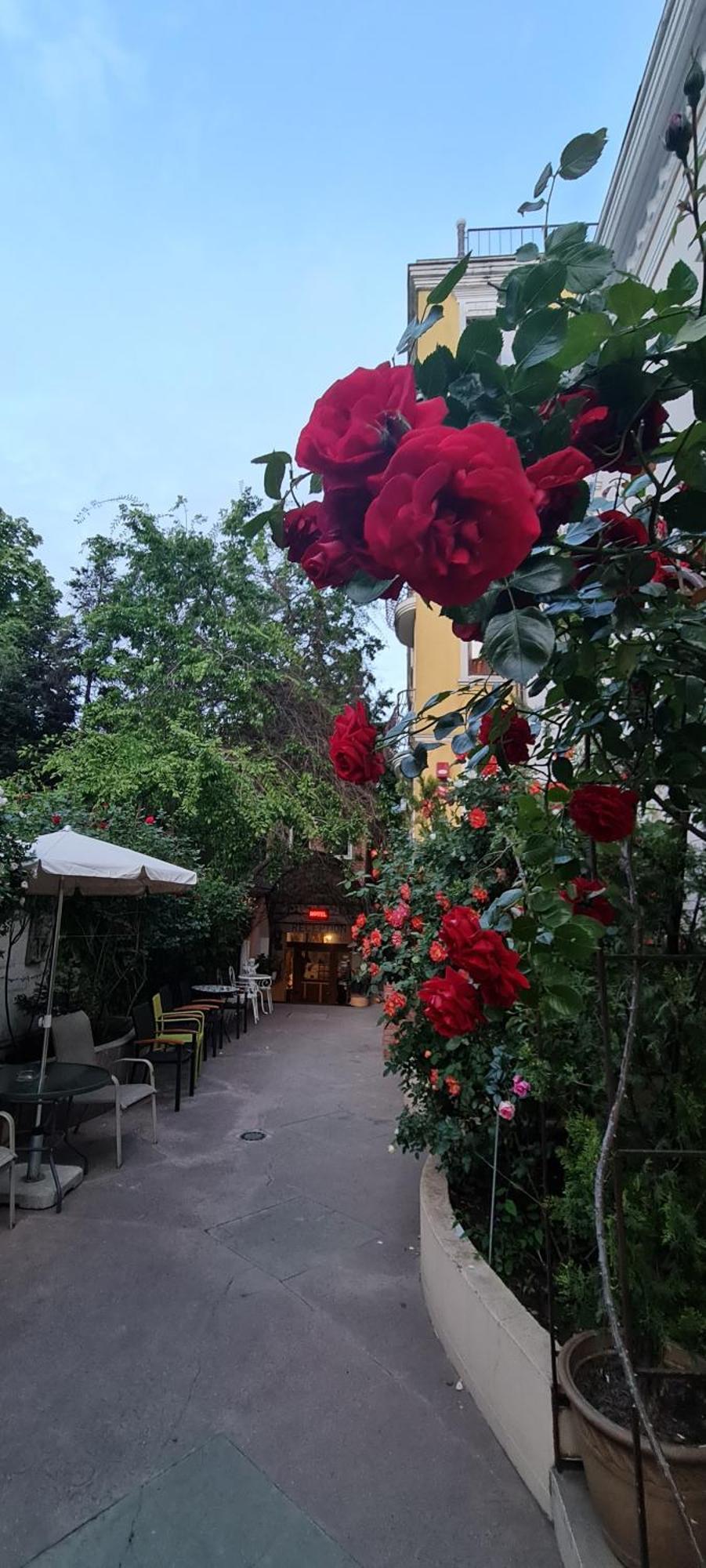 布加勒斯特 Casa Michelangelo酒店 外观 照片