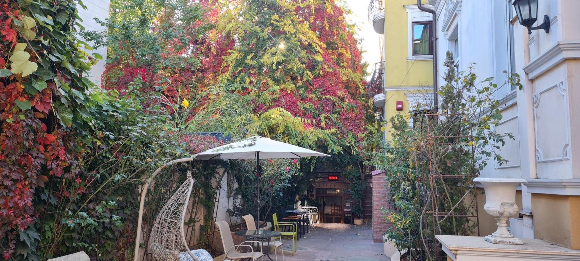 布加勒斯特 Casa Michelangelo酒店 外观 照片